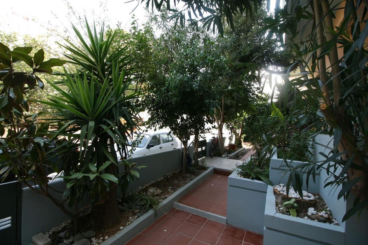 Penthouse Oasis